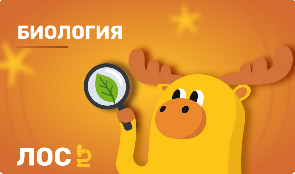 Биология