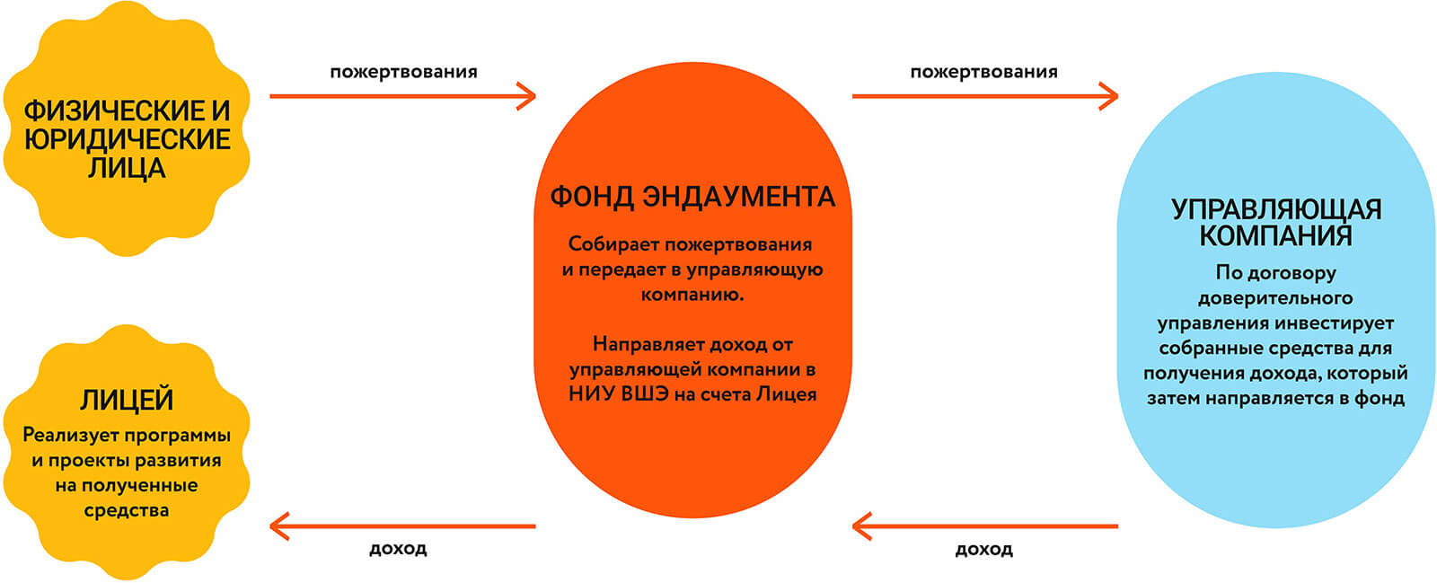 Эндаумент Лицея – Национальный исследовательский университет «Высшая школа  экономики»